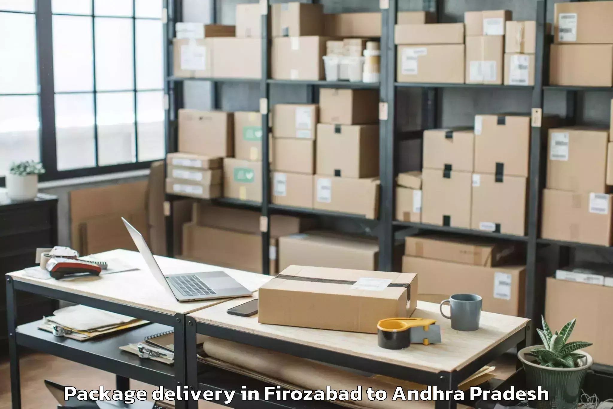 Reliable Firozabad to Central University Of Andhra P Package Delivery